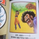 &lt;드래곤볼 초화집&gt; 후기 - 드래곤볼 좋아하면 추천! 매니아면 개추!