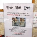 (주)터알