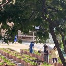 서울노원초등학교 이미지