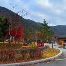 대전단풍구경 막차, 상소동산림욕장 단풍 후기