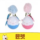 윤펫