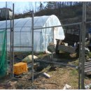 대문목장 이미지