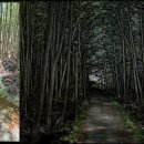 이즈솔루션
