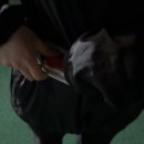 까미컴퍼니 네이버블로그