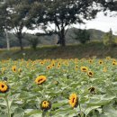 화수분상회 이미지