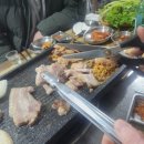 행운국시집