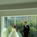 놀랍도록 시안대로 진행된 메종드힐 웨딩촬영 후기 (1) | 화이트 풍성 드레스 편 with 박석진 작가님