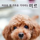 뷰토 이미지