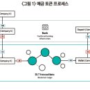 국제사회의 CBDC-예금 토큰 시범 운영 확대 이미지