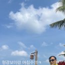 팔미마트 이미지