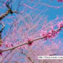 설봉한의원 이미지