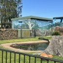 (주)오픈마인드월드 | [호주여행] 시드니 자유여행 4-5일차(포트스테판 투어, 패디스마켓, Jordan's Seafood, 검션커피)