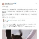 고양이 캣휠에 발전기를 달면 전기요금을 절약할 수 있을까? 이미지