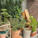 경기도 수원시 장안구 송정로59번길 이미지