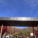 동락공원 화합의숲화장실 | [화담숲 단풍시기]화담숲 실시간🍁번지없는 주막에서 동동주