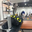 신촌르·메이에르타운(Ⅱ) | 신촌피티, 신촌헬스, 연대피티 '박현범피티스튜디오'