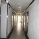 평화로(1) 이미지