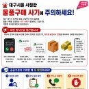 대구시 사칭 물품구매 사기 주의 안내 이미지