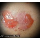 오류상천 이미지