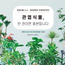 식물A 이미지