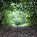 지슬1리 이미지