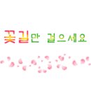 공감 행정사 이미지