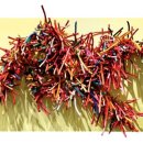 남해바래길 작은미술관 이미지