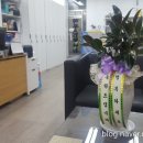 하우스디아파트경로당 이미지