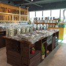 건강한 약초 이미지