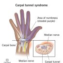 마디튼튼정형외과의원 | [부산 북구 화명동] 설연휴 진료정형외과, 화명마디튼튼재활의학과의원