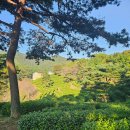 보성녹차리조트 | 보성_녹차리조트_내돈내산_방문후기