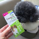 한국엘랑코동물약품(주) 이미지