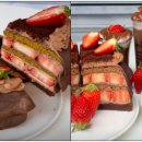 터틀하우스 이미지