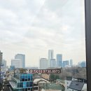 주식회사강남씨티부동산중개법인 이미지