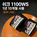 쉬크 - 부천시 소사구 경인로 231 | 쉬크 1100WS 손목보호대 후기, 1년 10개월 내구성