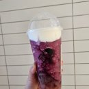 다육세상 | [칭다오] 헤이티 - 다육포도치즈폼 후기 믹스몰 헤이티 주문방법🍇 (고덕지도)