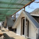 민들레울 이미지