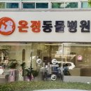 온정동물병원 네이버블로그