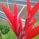 관광호텔앞 이미지