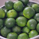 온유농장 이미지