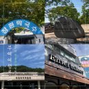 덕은동 중앙로 62번길 | [부여] 대전 근교 당일치기 여행지 추천🚞 장원막국수부터 부여 역사 유적 여행