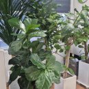 뉴글로벌 행정사 사무소 | 공공조달청 지원업무 뉴글로벌행정사: 현실을 해결해주는 따뜻한 친구