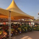 찬주목장 | 경기도여행, 안성팜랜드 냉이축제로 아이랑 알찬주말❤️