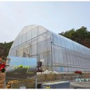 보령 나들이 1코스 이미지