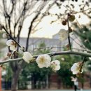 Cheer up 이미지