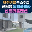 신트라움 이미지