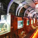 옐로우 터널 이미지