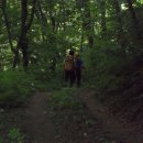 당정골계곡 이미지