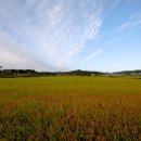 아침들녘 이미지