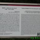 정윤복, 정호선묘 및 신도비 티스토리